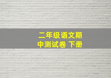 二年级语文期中测试卷 下册